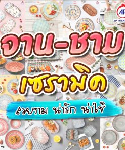 จาน - ชามเซรามิค